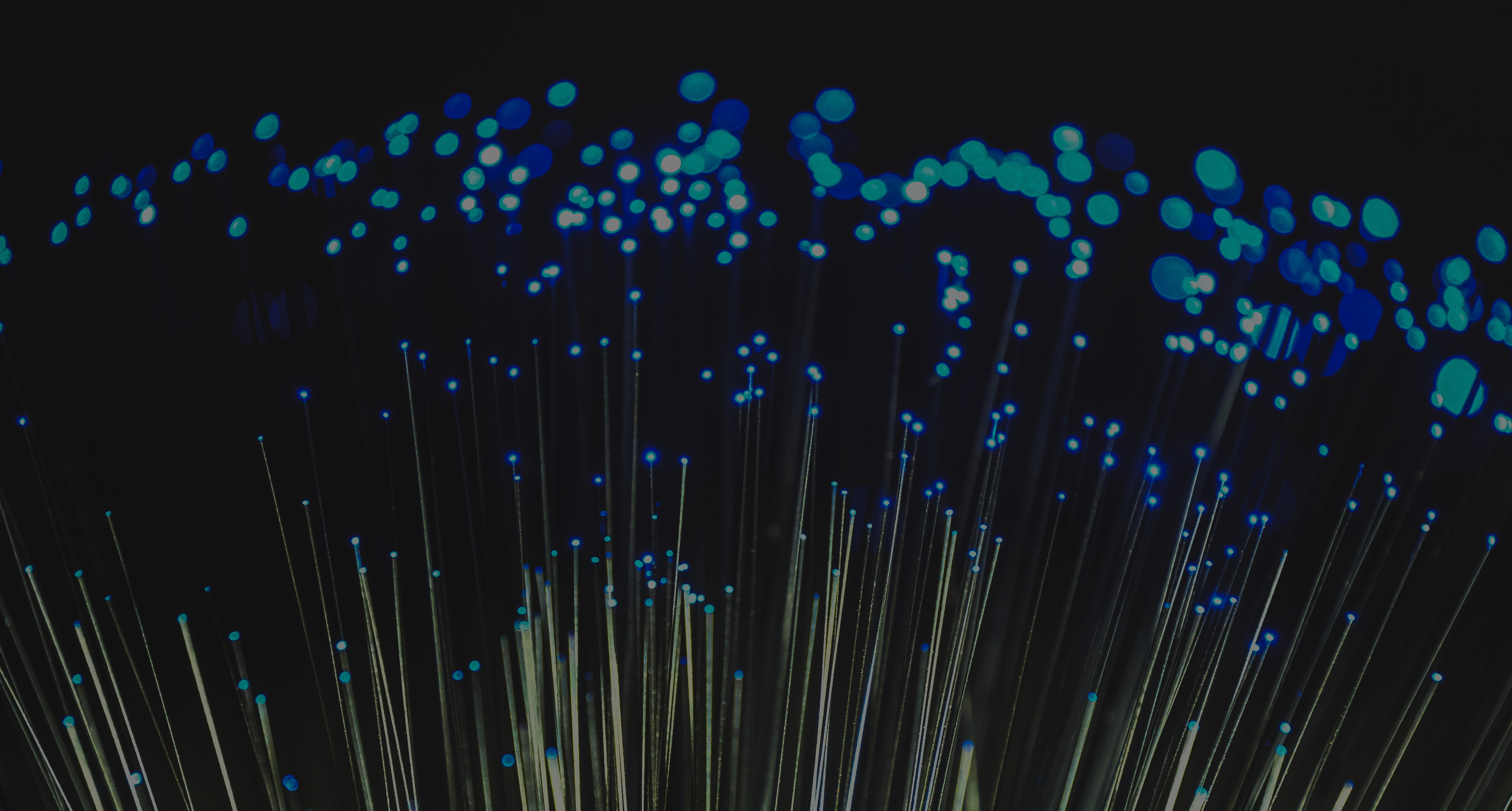 Fiber optic strands glowing